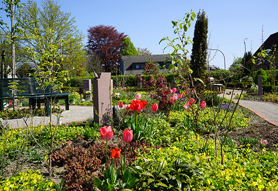 3-geimeinschaftsgrabfeld-telgte3.jpg