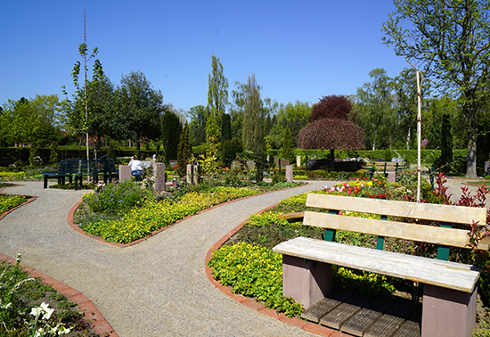 4-geimeinschaftsgrabfeld-telgte3.jpg