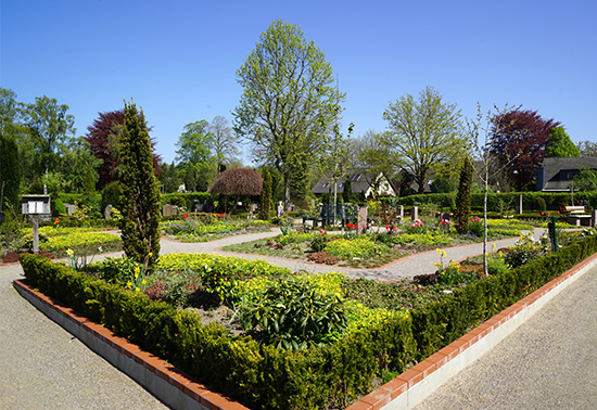 6-geimeinschaftsgrabfeld-telgte3.jpg